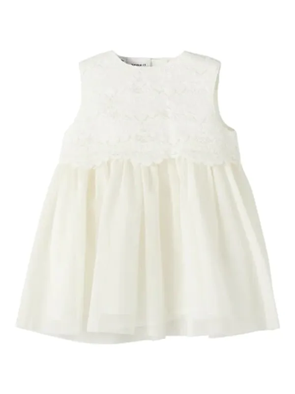 NbfNikol Spencer - White Alyssum 