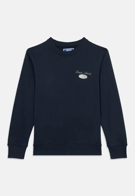 Hovedbilde Jack&Jones jr Dover Graphic Sweat Genser - Navy ...