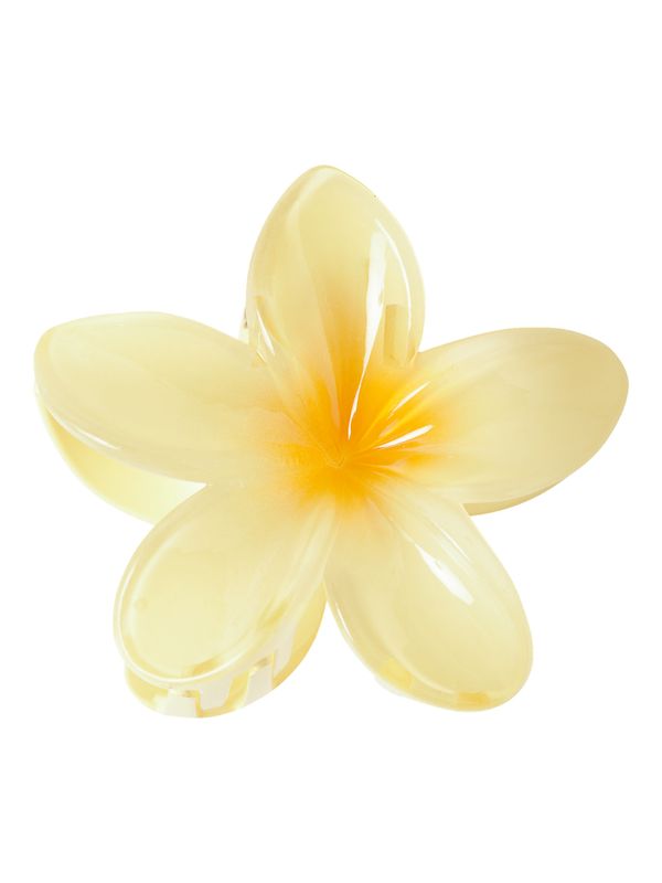 Name It Fijibiscus Hairclaw