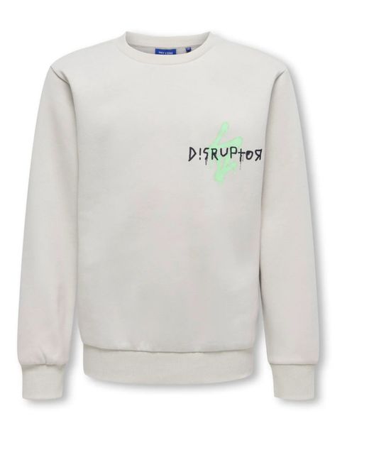 Hovedbilde Only & Sons Dave crew sweat - Moonstruck