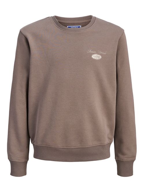 Hovedbilde Jack&Jones jr Dover Graphic Sweat Genser - Falcon