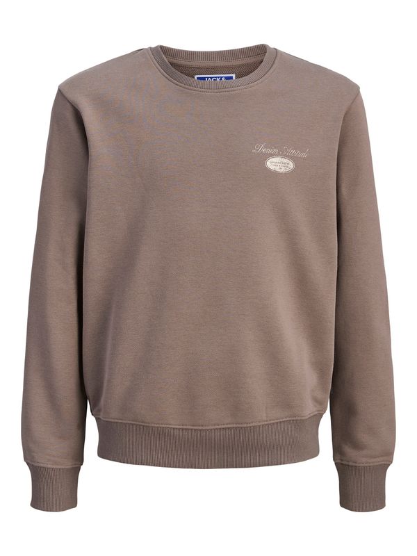 Jack&Jones jr Dover Graphic Sweat Genser - Falcon